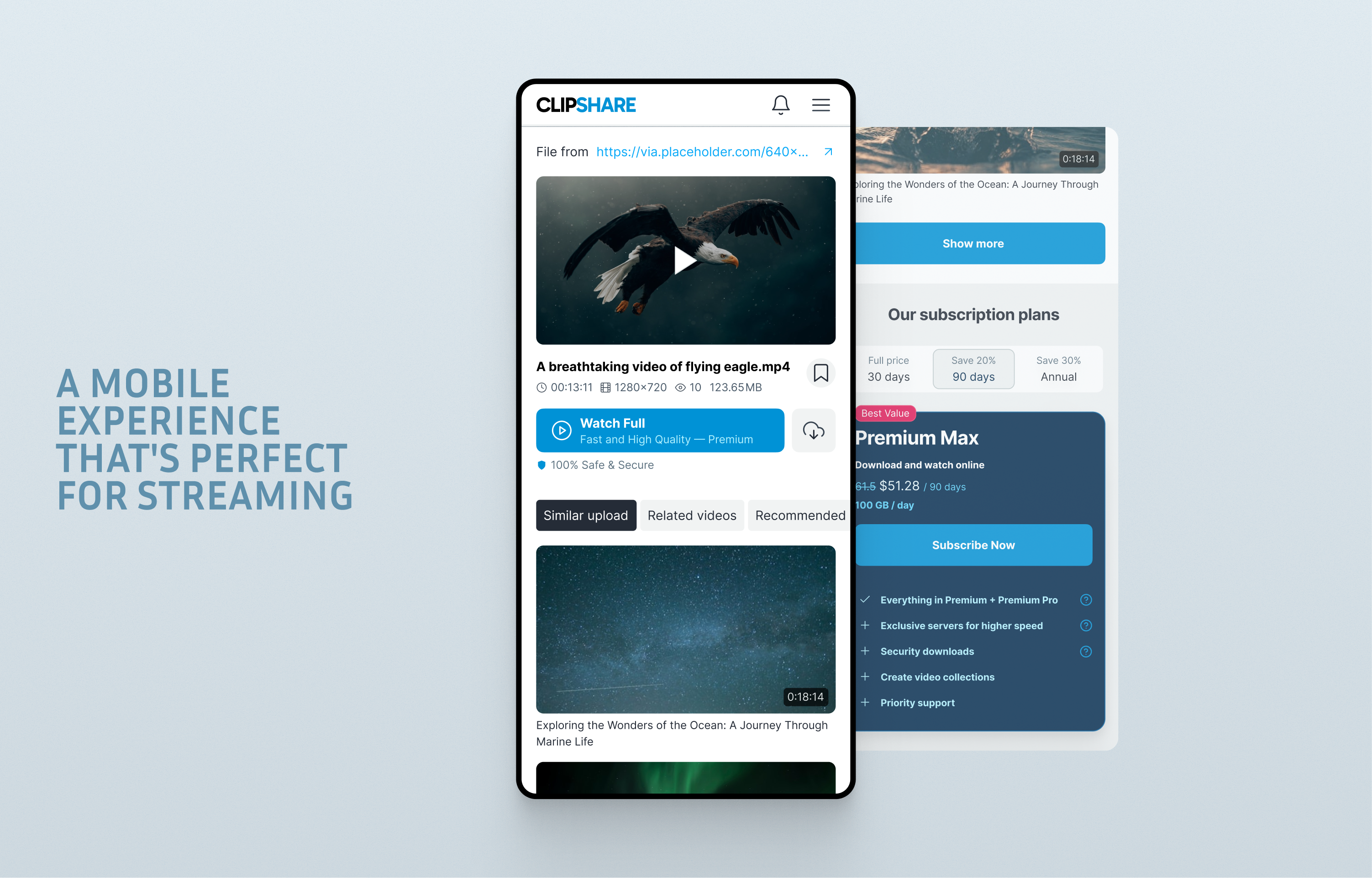 File download page — key screen 2